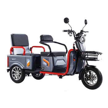600w Elektrinis Triratis Mažos Apimties Electromobile Dvejopo Naudojimo Keleivių Ir Krovinių Nėra Lengvai Deformuojasi, Laisvalaikio Pedicab